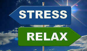 La rentrée arrive avec son lot de stress