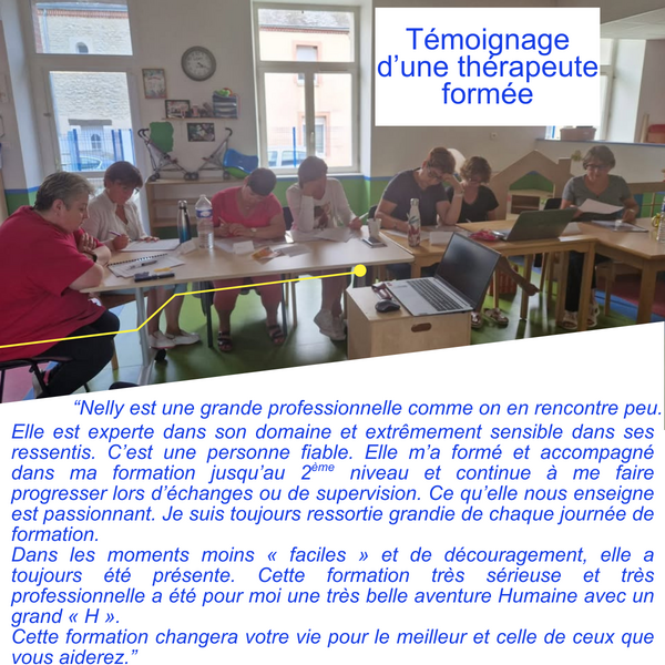 Visioconférences sur la Formation de Thérapeute en Accompagnement Emotionnel