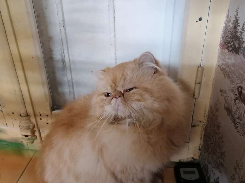 img_20211125_184530__1_