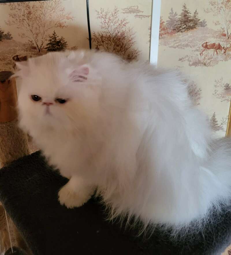 20220404_18565320220530-1746514-b2jf0p