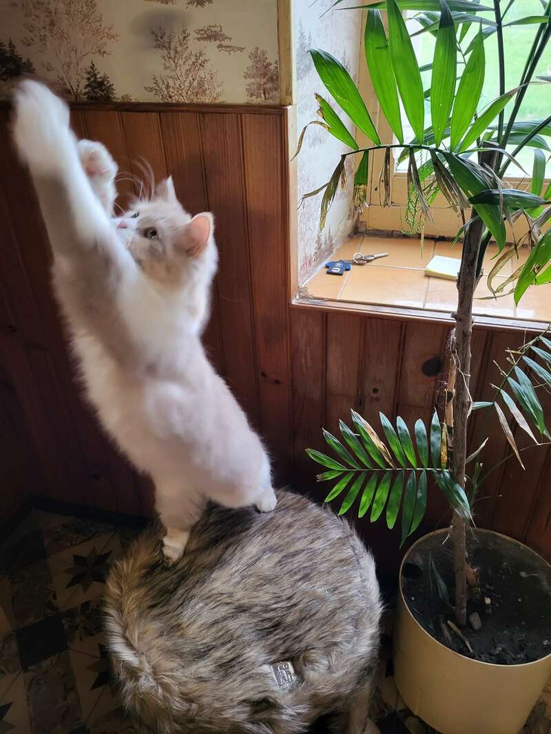 20220512_20094220220530-1746514-1pxwo0z