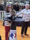 chat élégant sous les lumières de paris en 2026