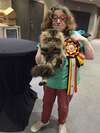 chat primé robin des bois arlon 2026