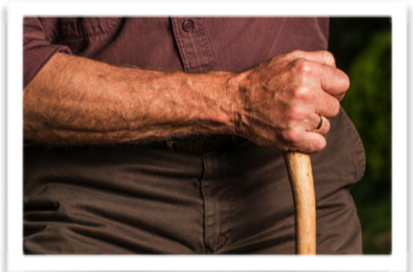 Le Magnétisme et les os