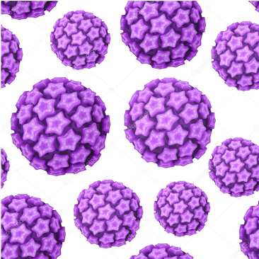 Le Magnétisme et le Papillomavirus
