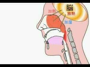 TROUBLES OCCASIONNÉS PAR LA RÉSPIRATION PAR LA BOUCHE