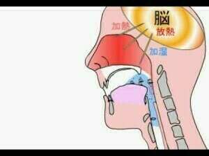 LES INCONVENIENTS DE LA RÉSPIRATION PAR LA BOUCHE