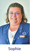 Sophie