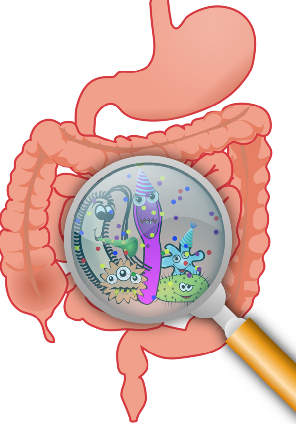 Problématique d'origine intestinale