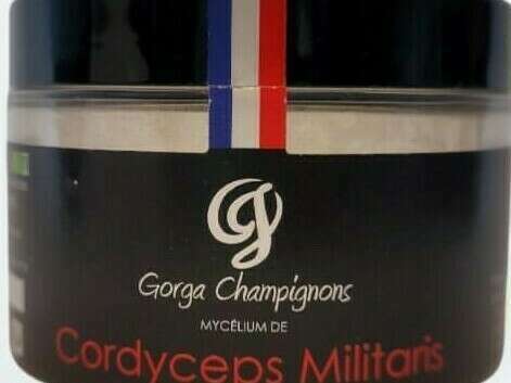 cordyceps__2_