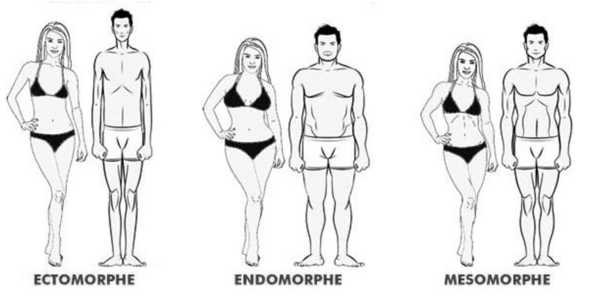Quel est votre morphotype ? Voulez-vous prendre ou perdre du poids facilement?