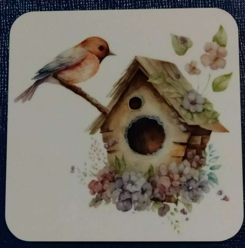 trashed-1679781327-dsc_0982