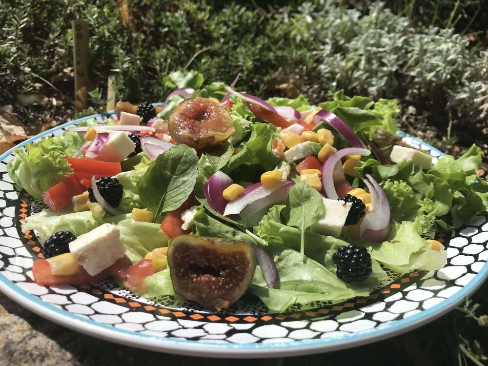 Salade mi-figues mi-mûres
