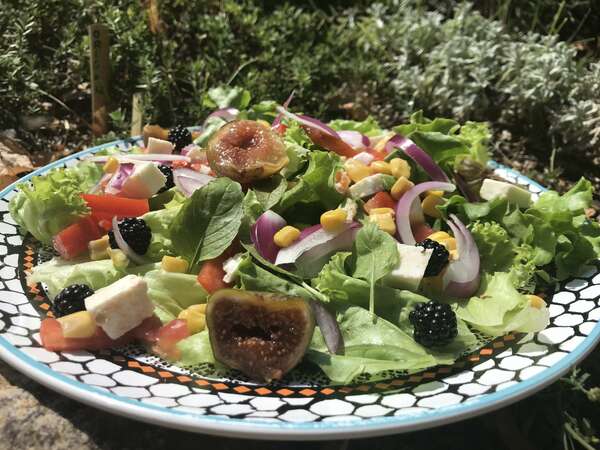 Salade mi-figues mi-mûres