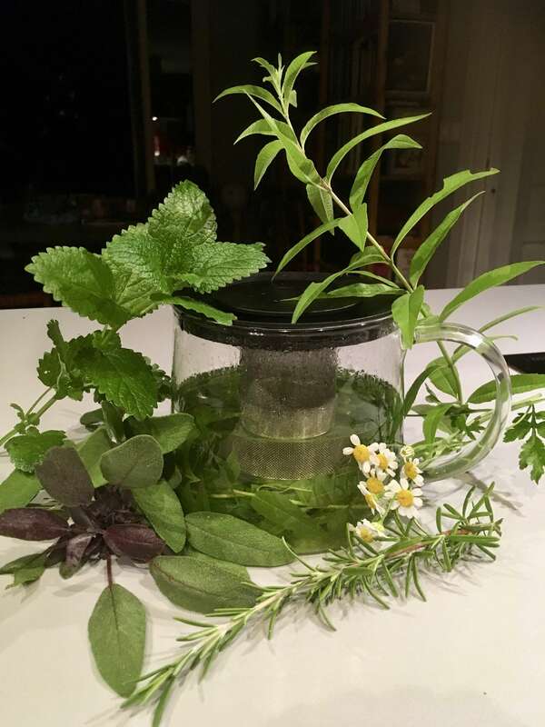 Tisan'Up, la boisson fraiche naturo de l'été  