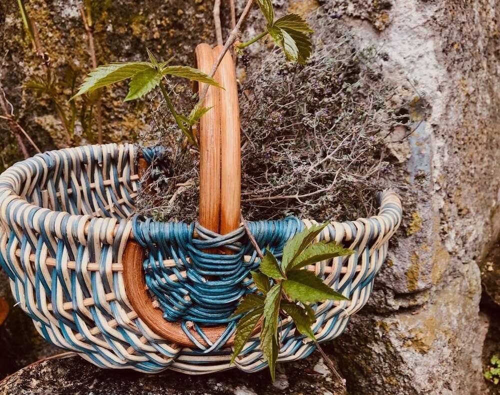 Digestion douce pendant les fêtes : recette de la tisane au romarin et aux racines de pissenlit pour soutenir votre foie.