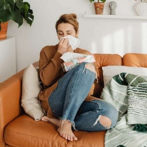 Les plantes médicinales de l'hiver : remèdes naturels à portée de main.