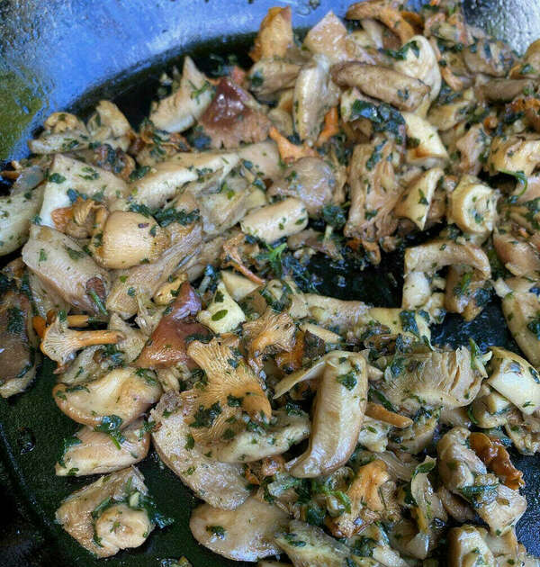 Poêlée de champignons d’hiver persillés aux orties et au plantain