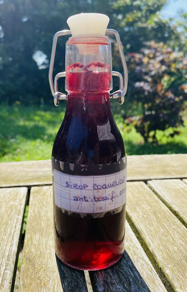 Sirop de coquelicots sauvages anti-tussif