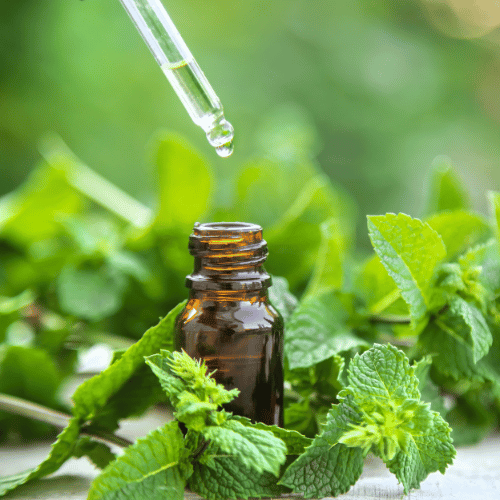 Les meilleures huiles essentielles pour booster la concentration et la mémoire des enfants