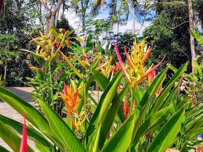 20190807_073418-effects