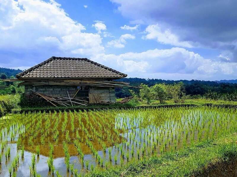 20190803_052051-effects