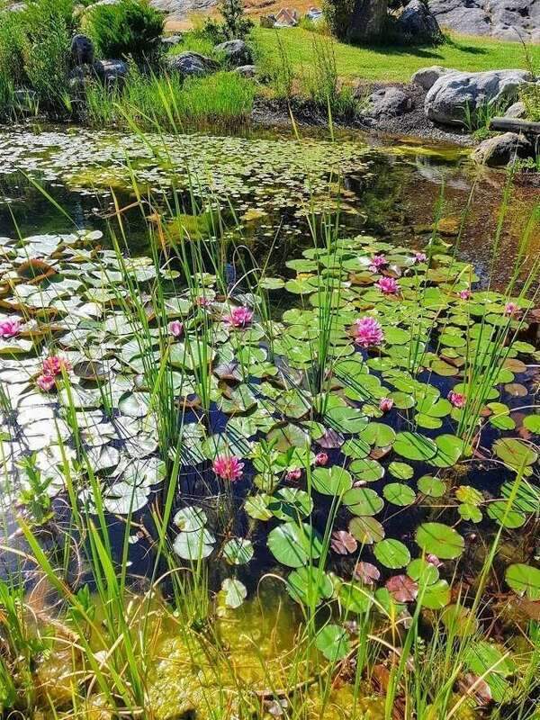 PARENTHESE ENCHANTEE