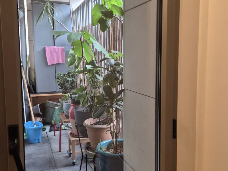 capture_d_ecran_2026-04-29_a_15-16-08