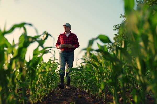 Aides agricoles : de nouveaux montant et de nouvelles conditions