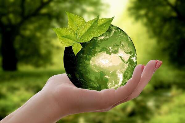 La fréquence identitaire DO - La famille des Ecologistes