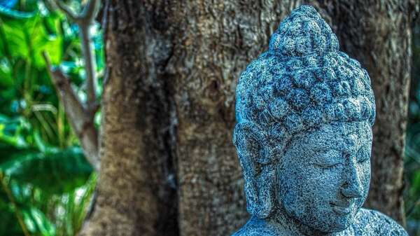Ouvrir sa conscience avec le chakra du 3ème oeil