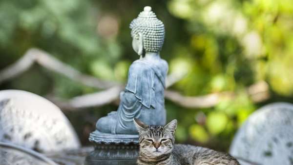 C'est quoi un mantra ?