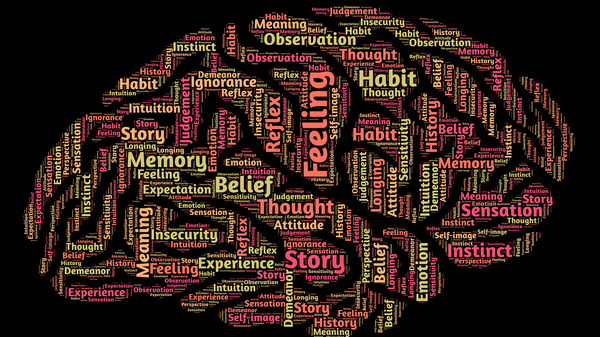 Comment reprogrammer son cerveau ?