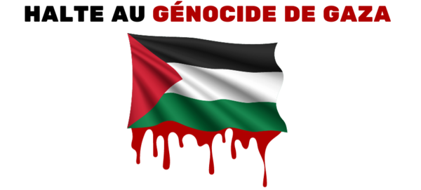 Gaza : c'est bien un génocide
