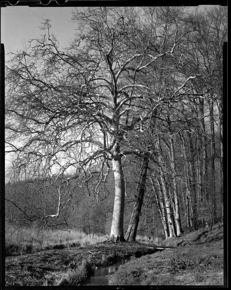 chalet-2-02_2013-24x30-3