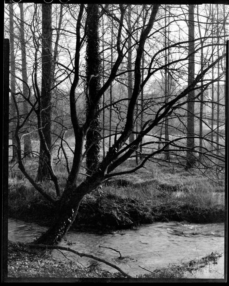 chalet-11-02_2013-24x30-2