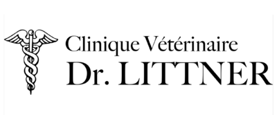 Dr Littner