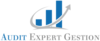 Logo Audit Expert Gestion