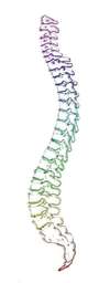 soulagement des douleurs articulaires et musculaires