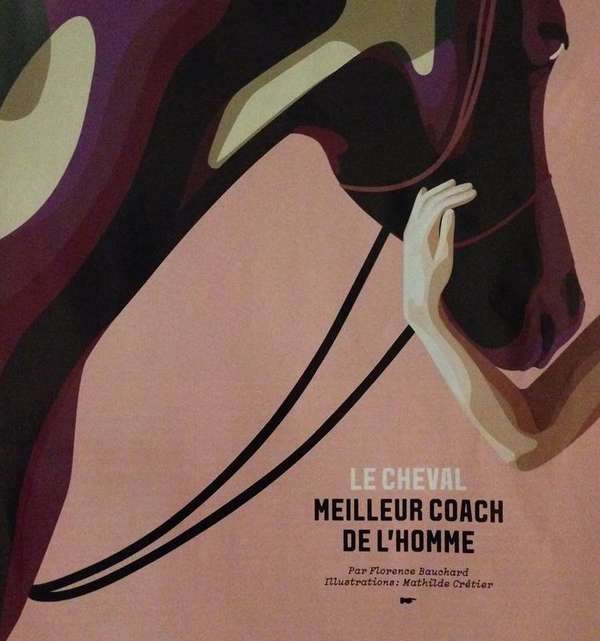 Le coaching des humains avec le cheval