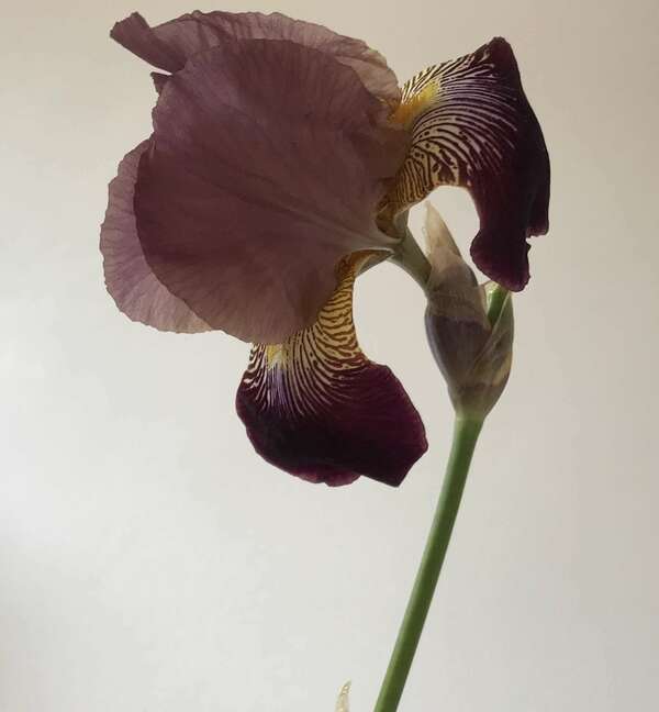 Coaching haut-potentiel intellectuel, quelle différence ça fait ?