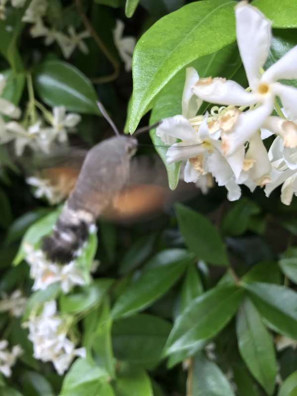 En quête d'équilibre vie pro-vie perso ?  