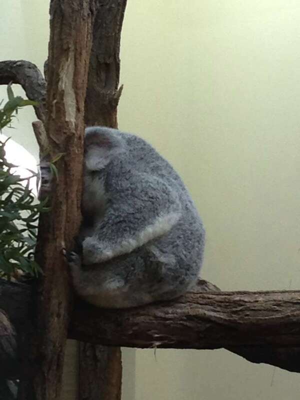 Coach : que diriez-vous de votre cadre de référence ? 