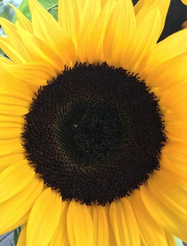 Un coaching de dirigeant vu de l’intérieur