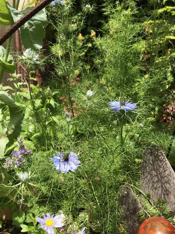 Coach : le silence est ton allié
