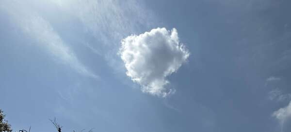 SUPERVISION DE PRATIQUE POUR LE COACH PROFESSIONNEL