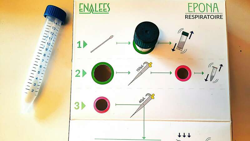 PCR respiratoires élargies