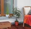 porte intérieure sur mesure dans un intérieur moderne
