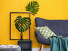 Bienvenue sur le site de Vent INDIGO
