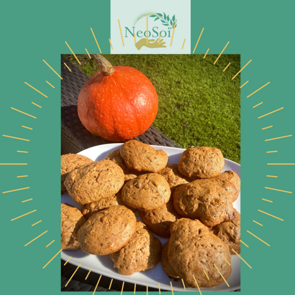 Moelleux au potimarron et aux éclats de chocolat noir 100% vegan et sans gluten